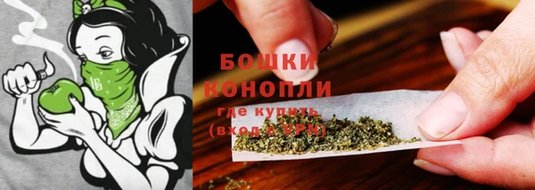 спиды Пересвет
