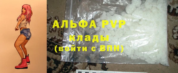 спиды Пересвет