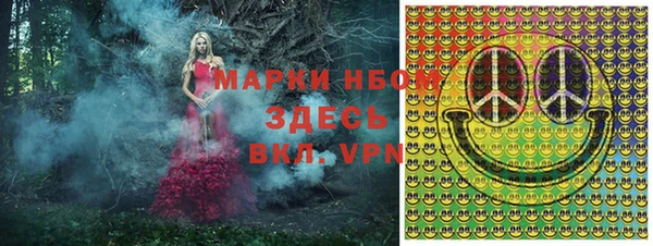 спиды Пересвет