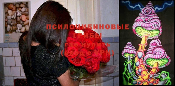 винт Переславль-Залесский
