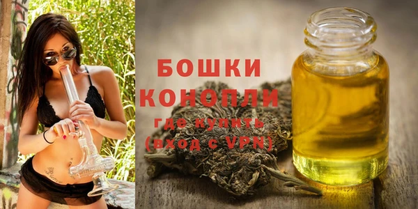 спиды Пересвет