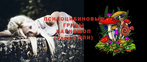 марки lsd Пестово