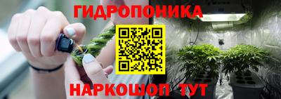 круглые Гусев
