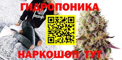 амф Гусь-Хрустальный