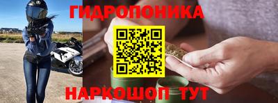 круглые Гусев
