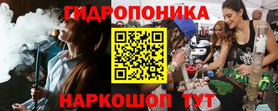амф Гусь-Хрустальный