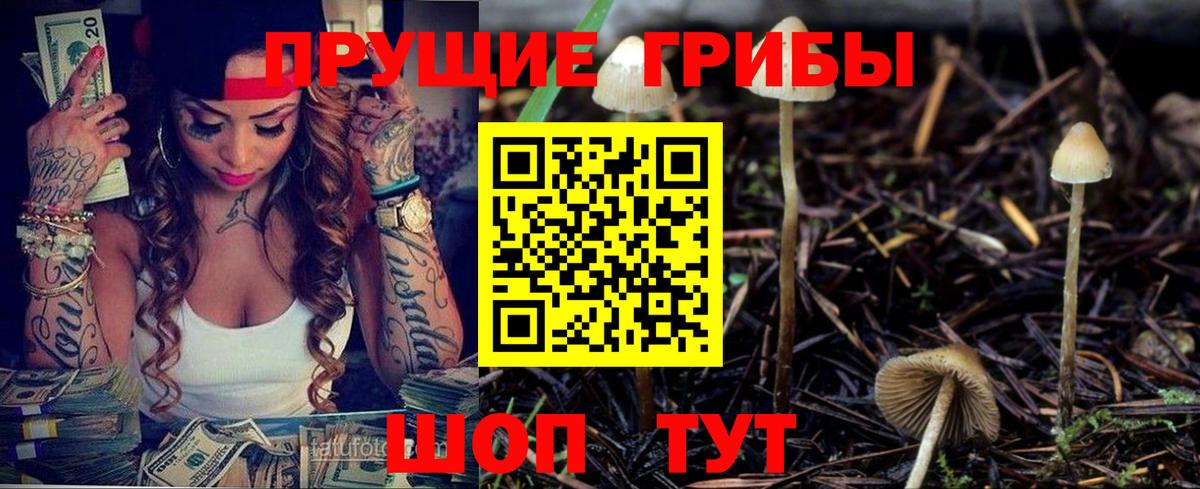 Барабинск  Галлюциногенные грибы MAGIC MUSHROOMS  Вход с VPN 