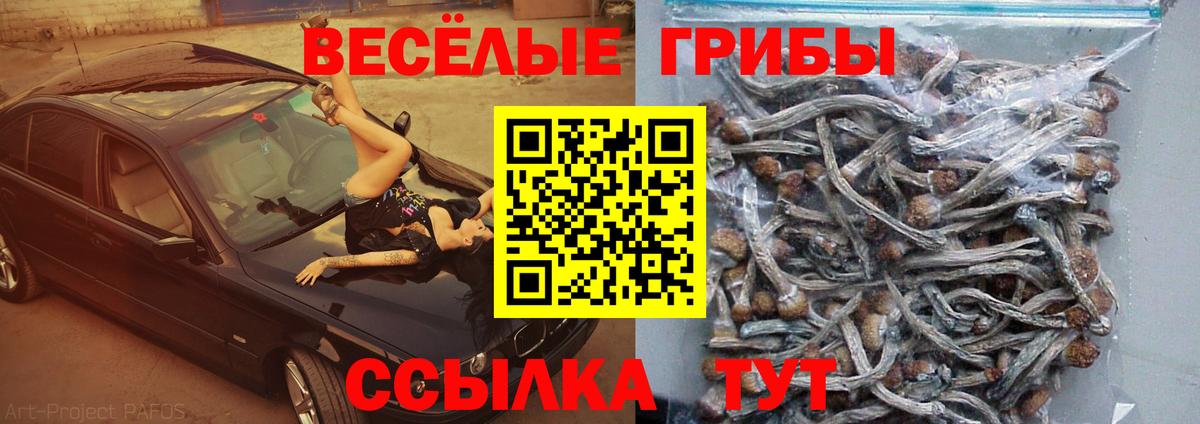 Галлюциногенные грибы Magic Shrooms  Барабинск  Галлюциногенные грибы MAGIC MUSHROOMS 